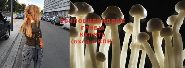 спайс Инсар