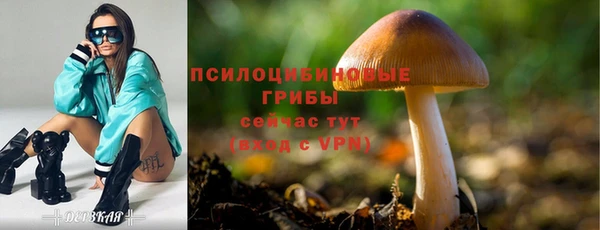 прущий лед Иннополис
