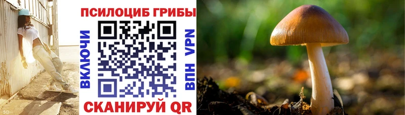 Купить где  Вельск  Галлюциногенные грибы мицелий 